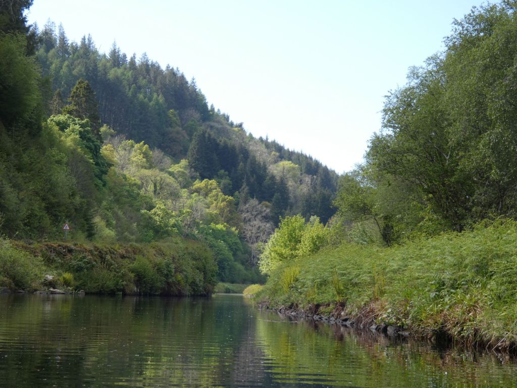 Day 6 – Mister&nbsp;Chatty