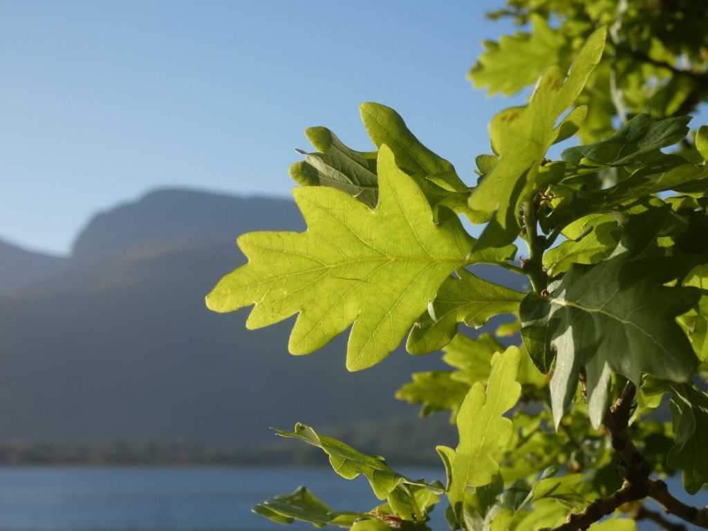 Day 11 – Start of the Caledonian&nbsp;Canal
