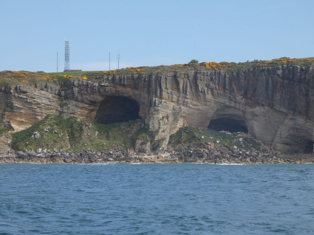 Day 17 – Having a swell time