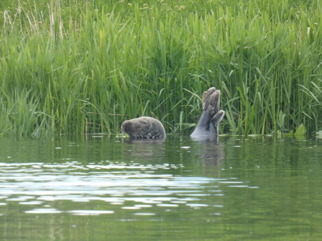 Day 24 – Past Scotland’s busiest harbour